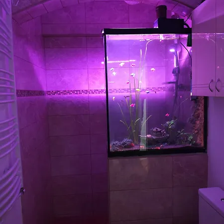 Nena - アパート ルマ